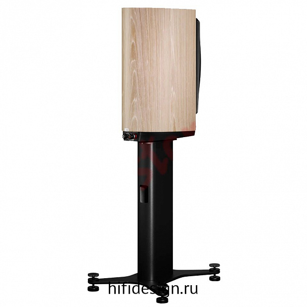 �������� �������� confidence 20 blonde wood