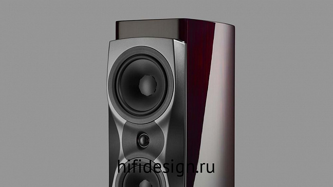 ��������� �������� confidence 30 raven wood high gloss